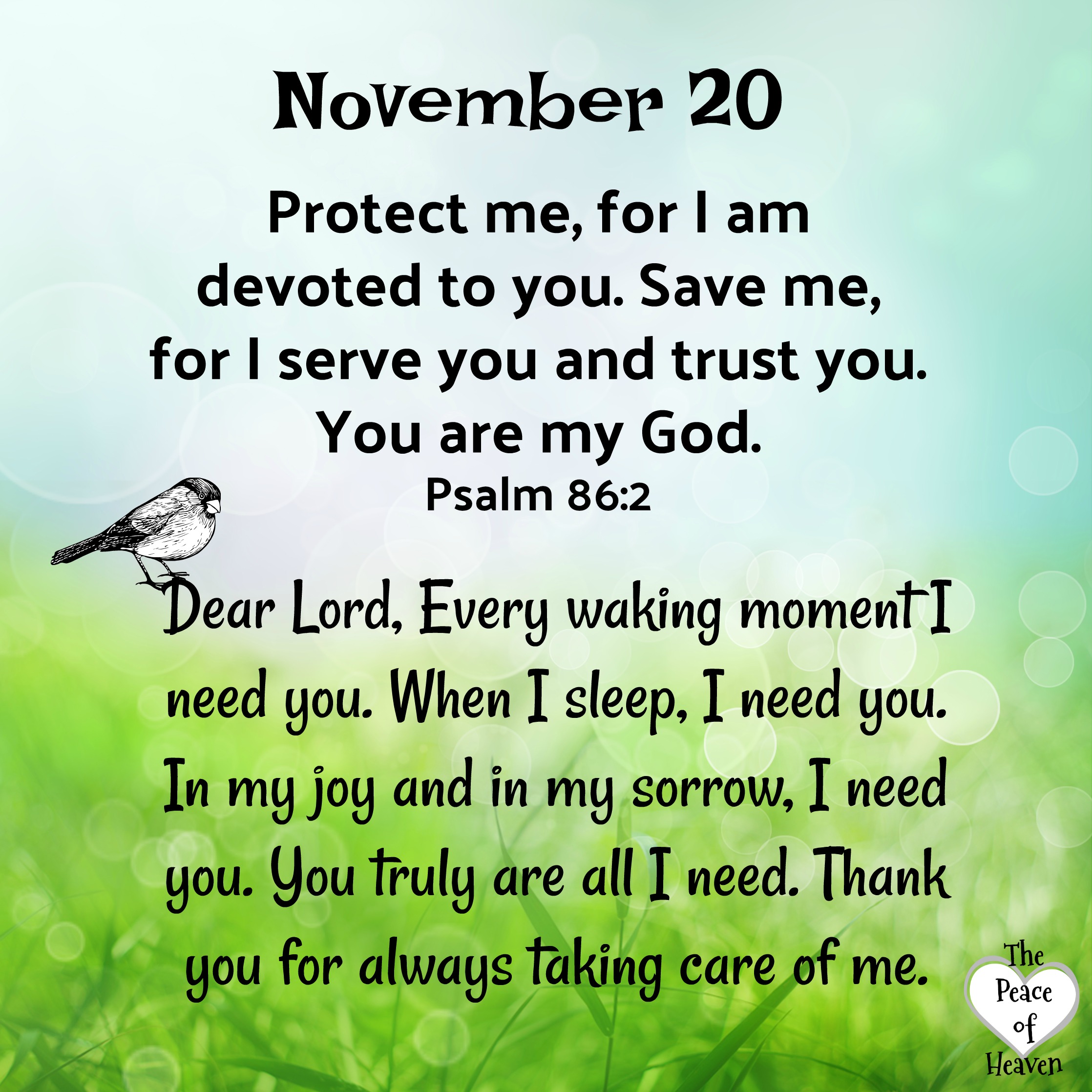 November 20 – The Peace of Heaven
